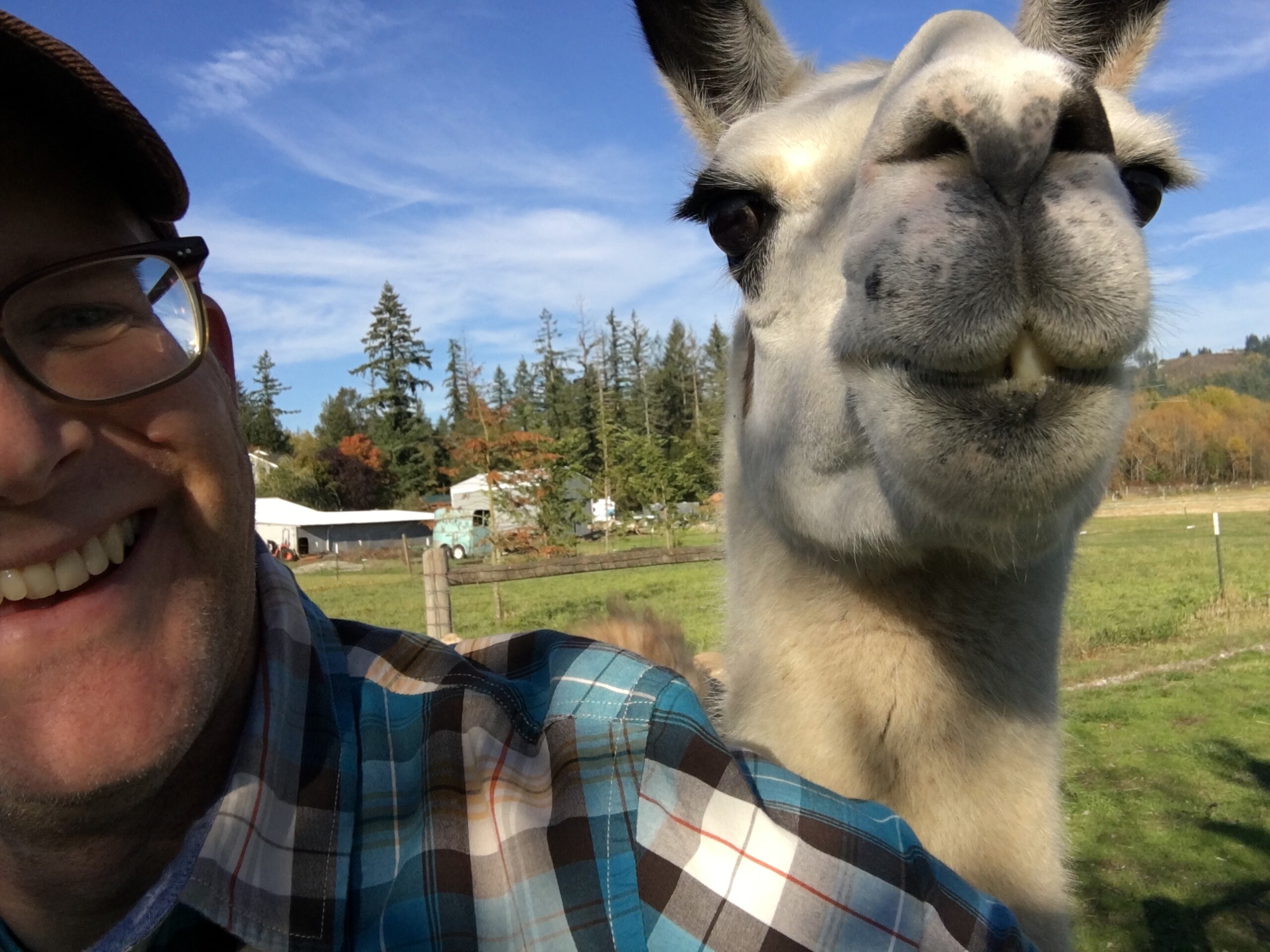 John and his llama, April, posing for a selfie.