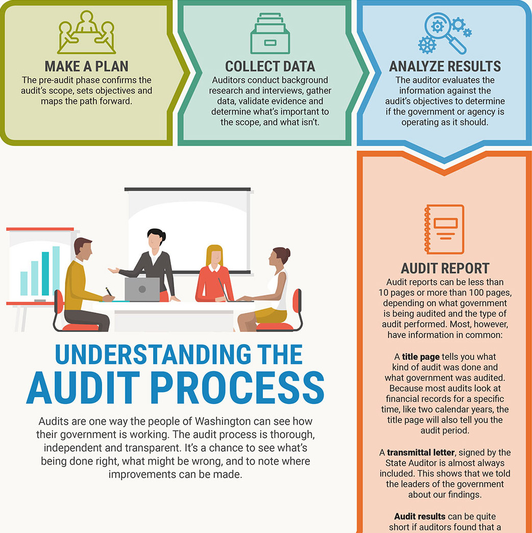 SAO website audit process infographic