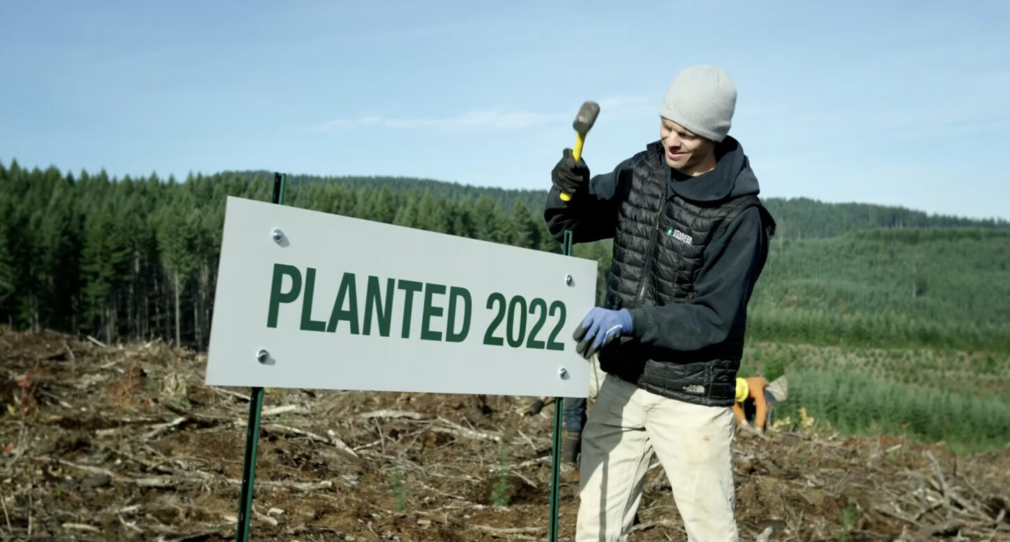 A man at the edge of a clearing installs a sign saying "Planted 2022", from a video for the Oregon Forest Resources Institute.