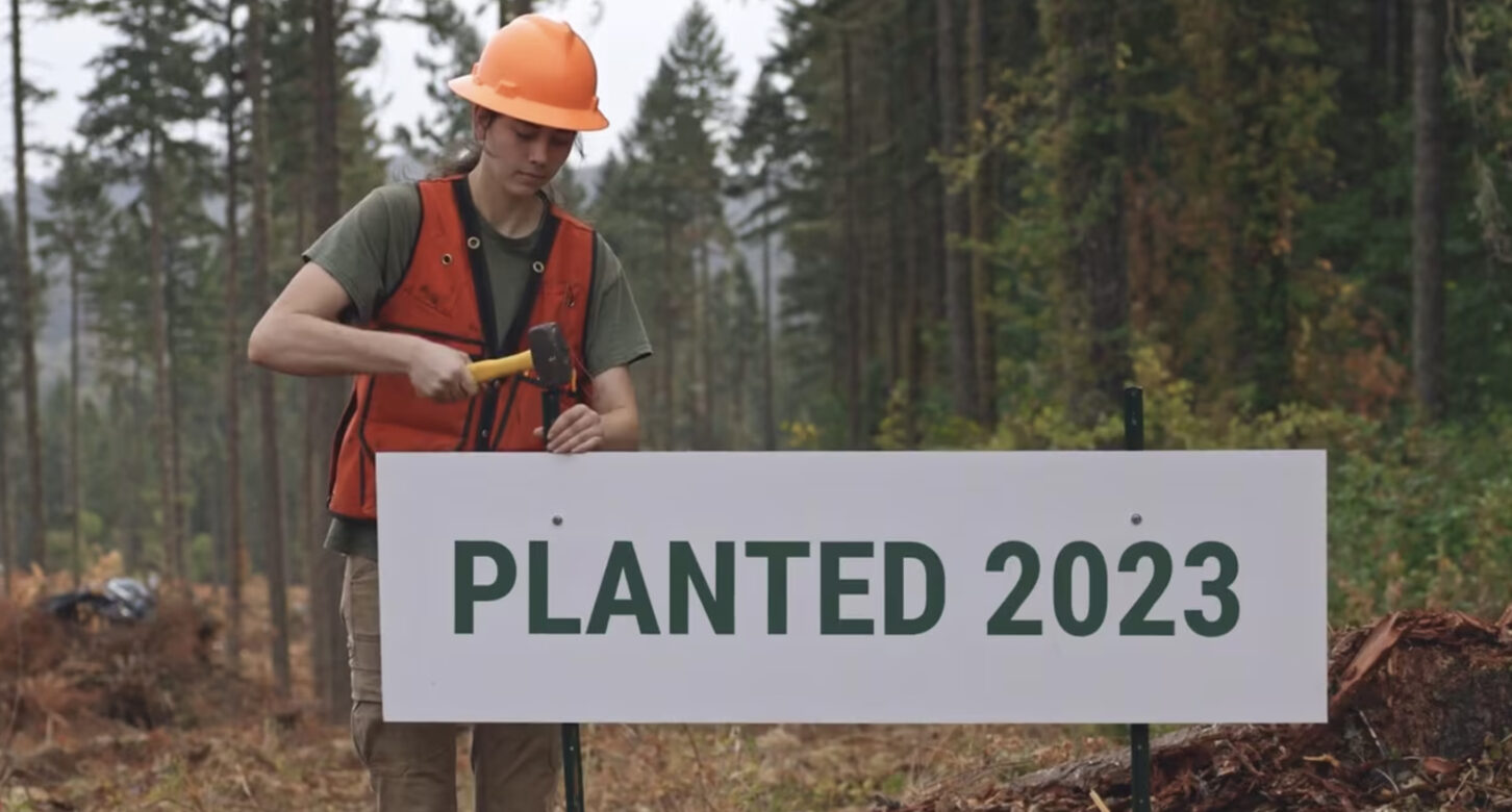 A woman in a hard hat at the edge of a forest installs a sign saying "Planted 2023", from a video for the Oregon Forest Resources Institute.