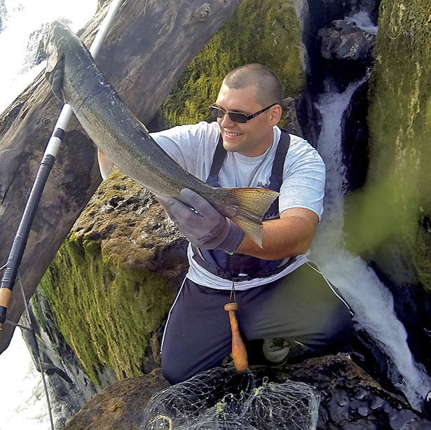 A Tribal fisherman holds up a huge salmon he's just caught at Willamette falls, using the traditional fishing technique.