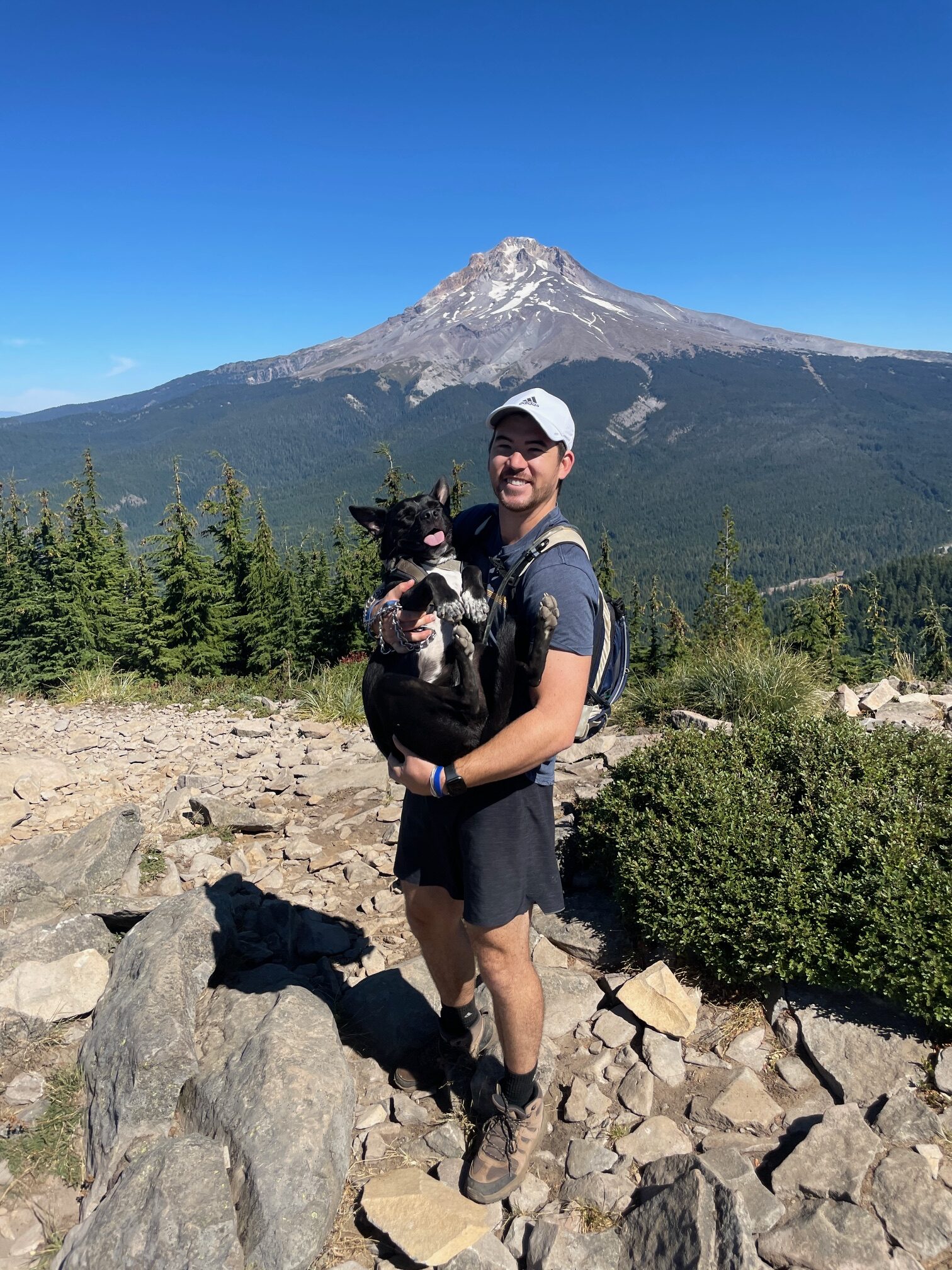 A man holding a dog on a mountainous hiking trail with Oregon's Mt. Hood in the background. 