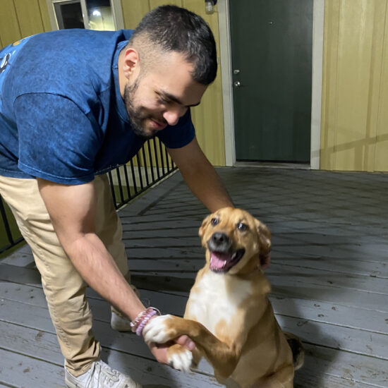 A man with black hair and a beard wearing khaki pants and a blue t-shirt shakes hands with a brown and white dog.